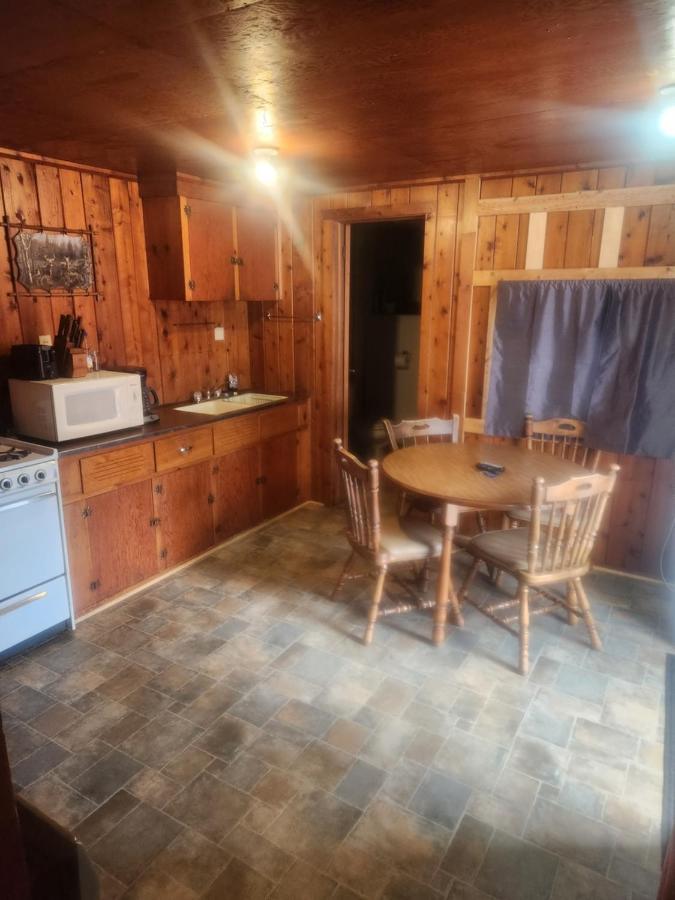 Cabin 2 Manistique Exteriér fotografie